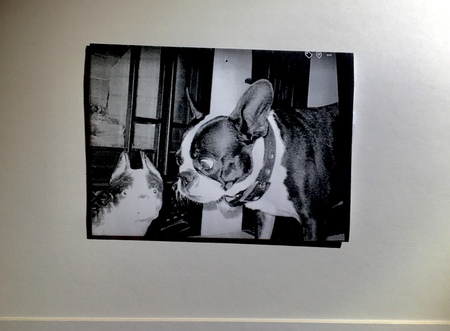 Entry image for Jenny. Clicking this image will show a larger photo