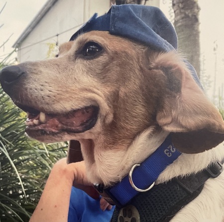 Entry image for Ernie . Clicking this image will show a larger photo