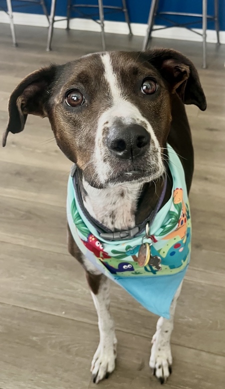 Entry image for Libby. Clicking this image will show a larger photo