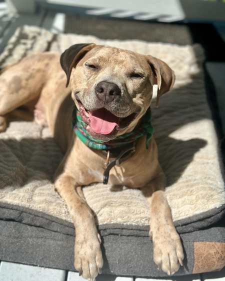 Entry image for Murray. Clicking this image will show a larger photo