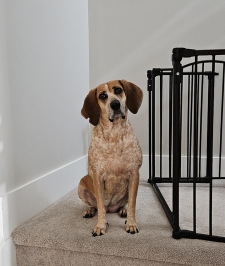 Entry image for Lexie. Clicking this image will show a larger photo