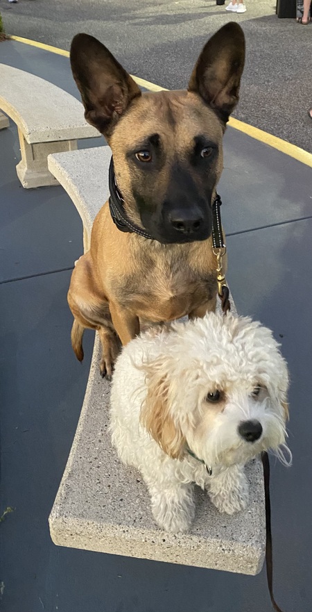 Entry image for Athena. Clicking this image will show a larger photo