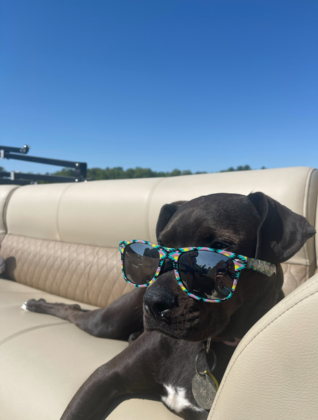 Entry image for Winter. Clicking this image will show a larger photo