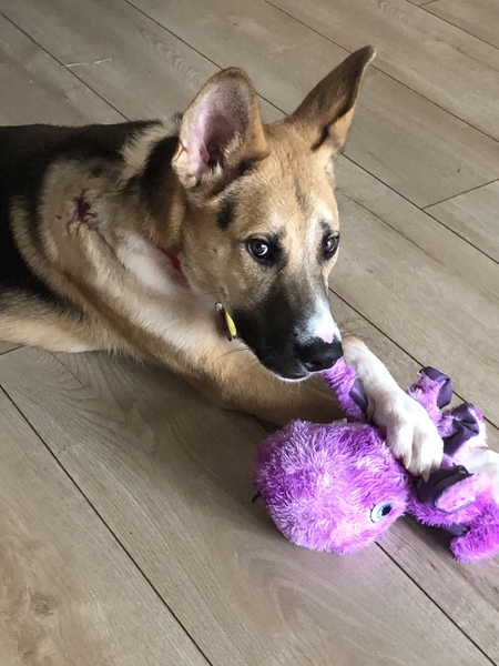 Entry image for Mick. Clicking this image will show a larger photo