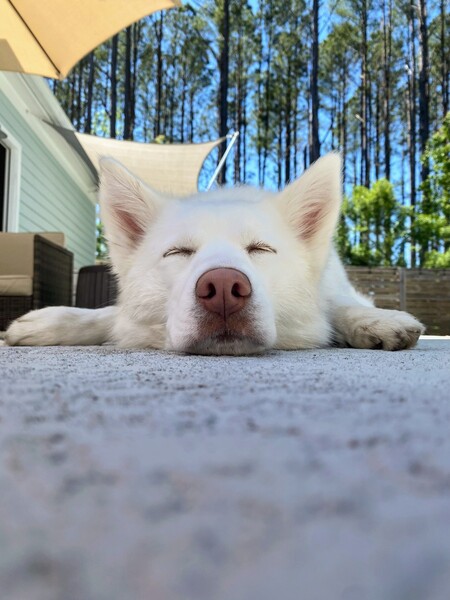 Entry image for Aruna. Clicking this image will show a larger photo