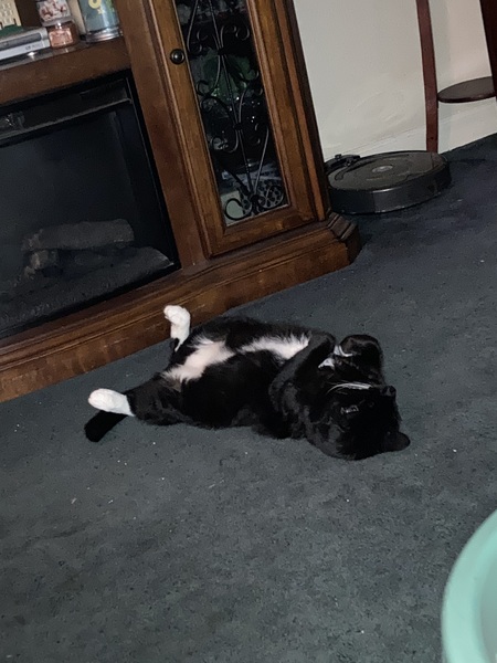 Entry image for Tickles. Clicking this image will show a larger photo