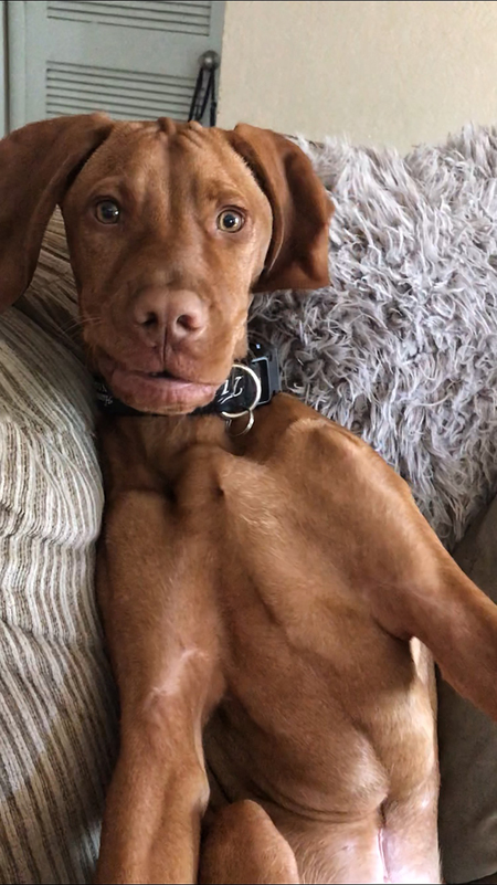 Entry image for Mikko. Clicking this image will show a larger photo