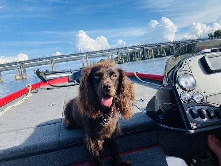 Entry image for Folly (Beach). Clicking this image will show a larger photo