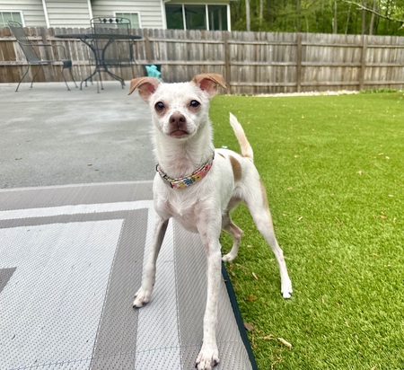 Entry image for Mellie. Clicking this image will show a larger photo