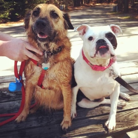 Entry image for Layla & Daphne. Clicking this image will show a larger photo