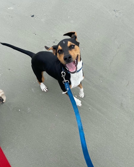 Entry image for Jeter. Clicking this image will show a larger photo