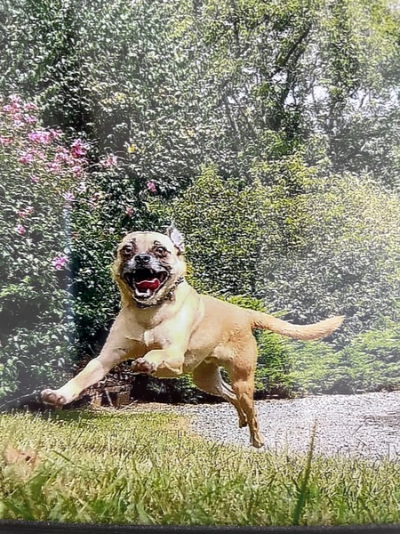 Entry image for Giroux. Clicking this image will show a larger photo