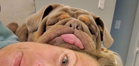 Entry image for Brickhouse. Clicking this image will show a larger photo