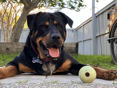 Entry image for Jeff. Clicking this image will show a larger photo