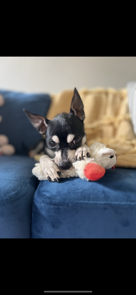 Entry image for Frida . Clicking this image will show a larger photo