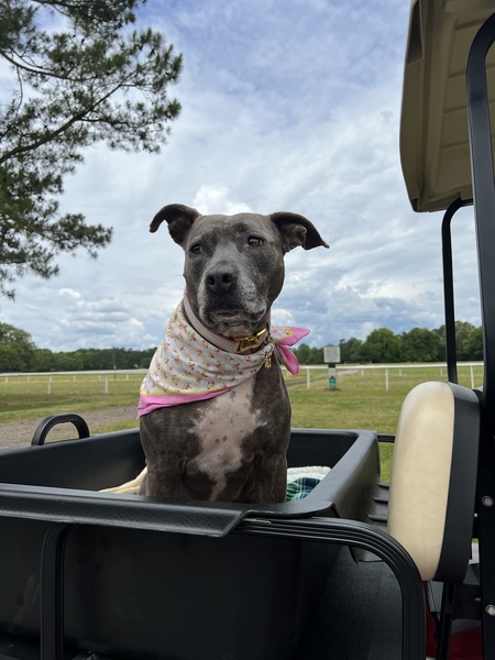 Entry image for London . Clicking this image will show a larger photo