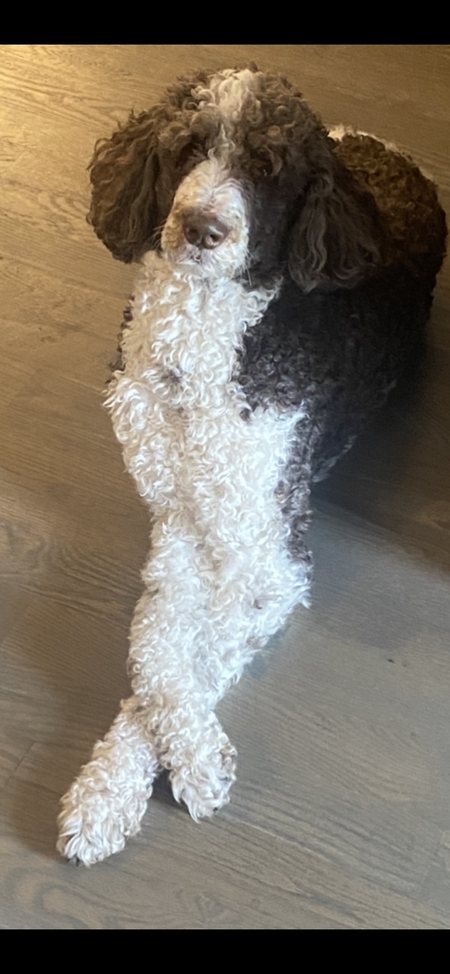 Entry image for Buddy Boudreaux . Clicking this image will show a larger photo