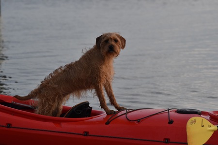 Entry image for Bonnie Baker. Clicking this image will show a larger photo