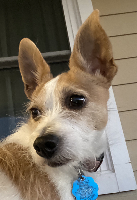 Entry image for Dorothy Lillian. Clicking this image will show a larger photo