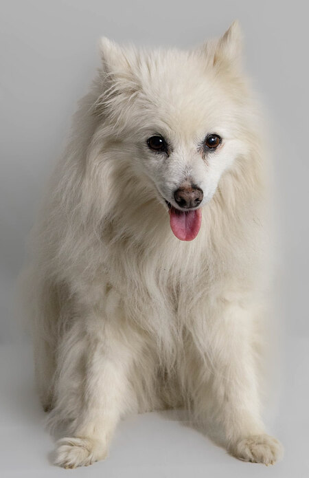 Entry image for Misha. Clicking this image will show a larger photo