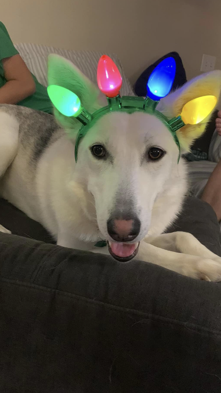 Entry image for Brooklyn . Clicking this image will show a larger photo