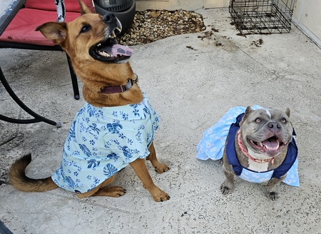 Entry image for Chief & Tinkerbell. Clicking this image will show a larger photo