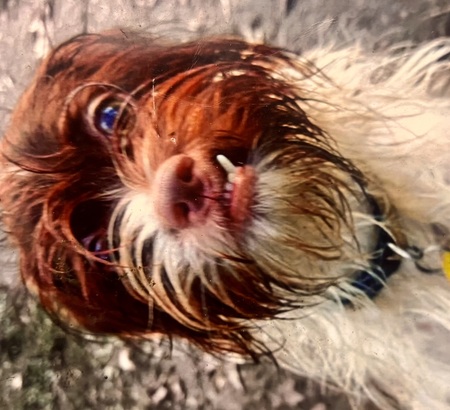 Entry image for EARL. Clicking this image will show a larger photo