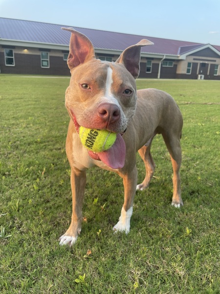 Entry image for Lou. Clicking this image will show a larger photo