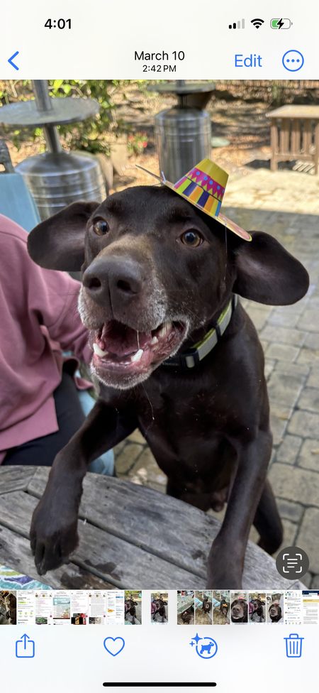 Entry image for Finn Man. Clicking this image will show a larger photo