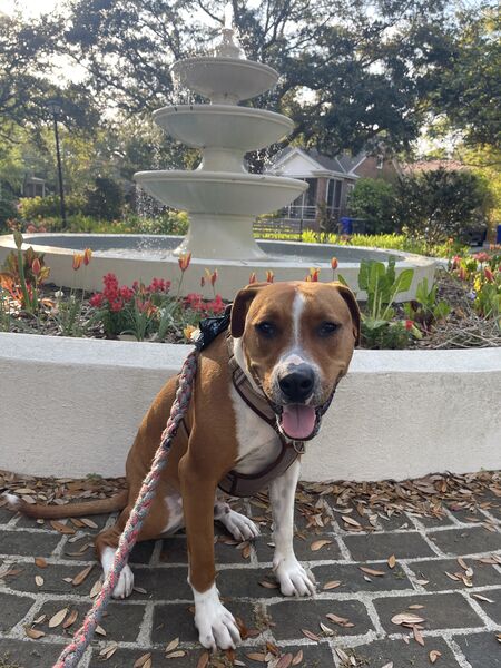 Entry image for Richard (@thekingrichard843 on Instagram). Clicking this image will show a larger photo