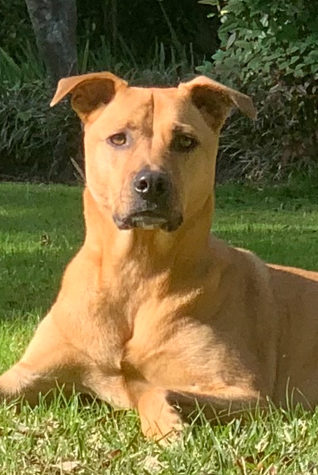 Entry image for Sam. Clicking this image will show a larger photo