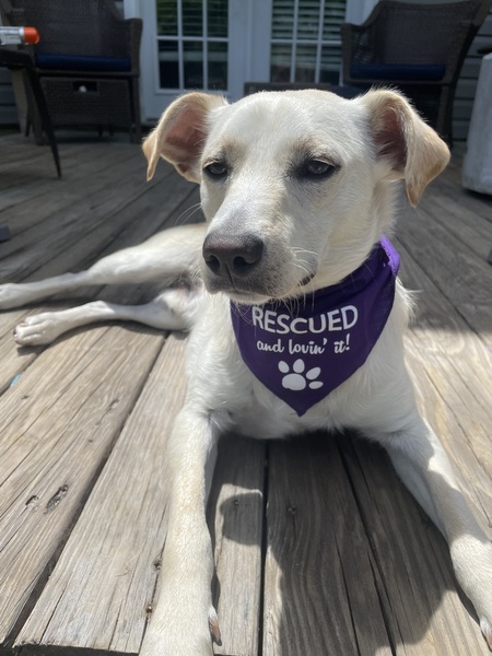 Entry image for Mr. Beans. Clicking this image will show a larger photo