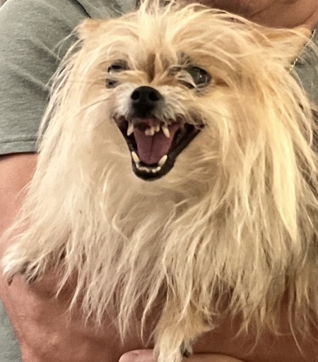 Entry image for Tiffany. Clicking this image will show a larger photo