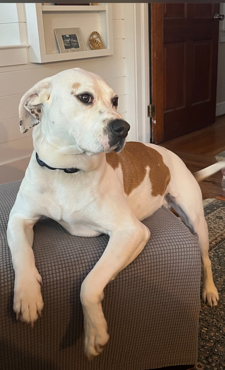 Entry image for JJ. Clicking this image will show a larger photo