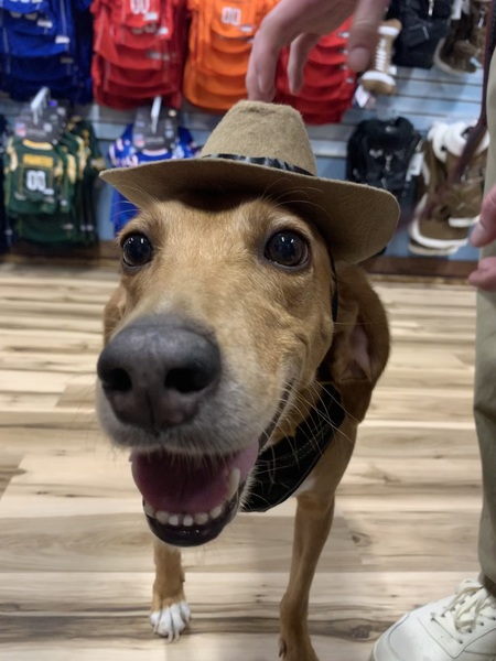 Entry image for Tucker. Clicking this image will show a larger photo