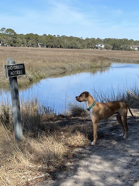 Entry image for Jaks. Clicking this image will show a larger photo