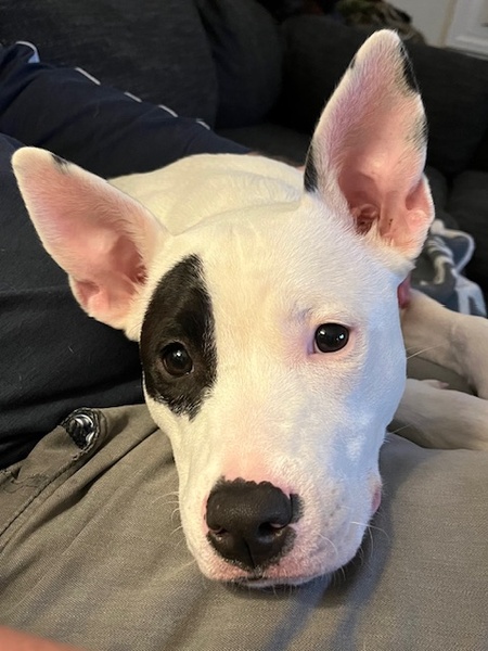 Entry image for Kat. Clicking this image will show a larger photo