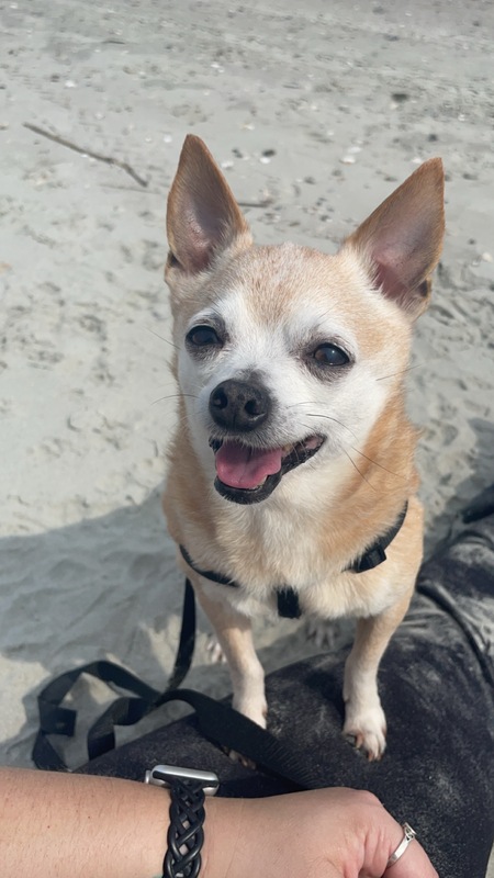 Entry image for Prince . Clicking this image will show a larger photo