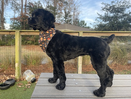 Entry image for Keeley. Clicking this image will show a larger photo