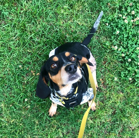 Entry image for Franklin. Clicking this image will show a larger photo