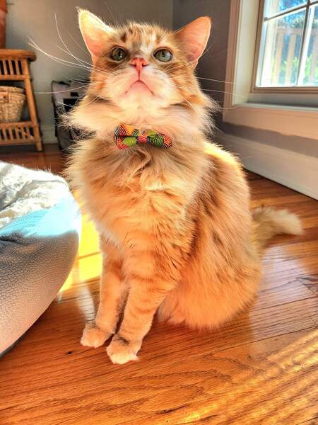 Entry image for Gabriel. Clicking this image will show a larger photo