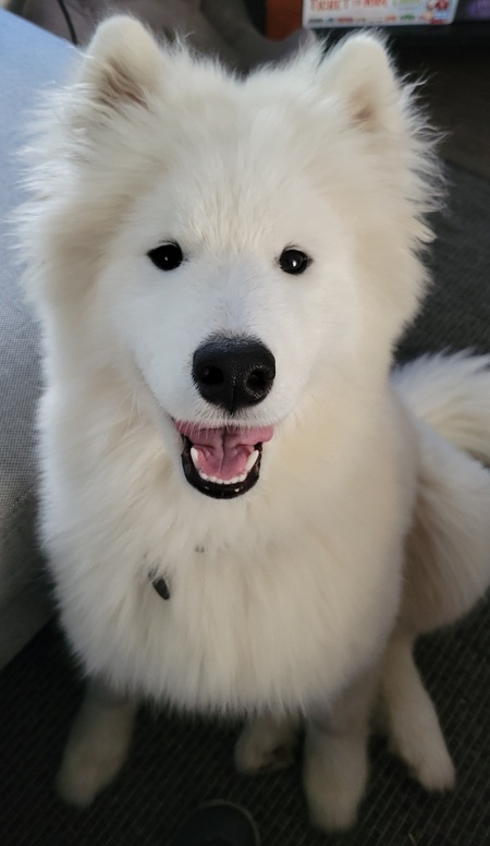 Entry image for Chaos . Clicking this image will show a larger photo