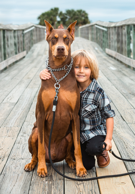 Entry image for Cayenne Diddums Von Kent . Clicking this image will show a larger photo