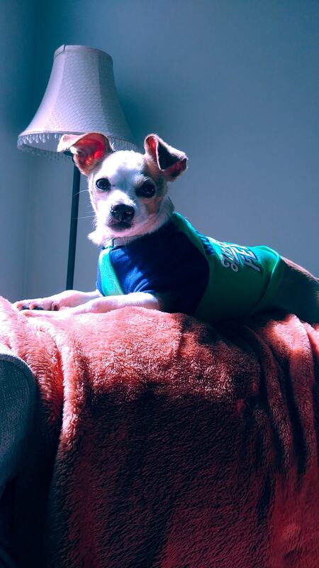 Entry image for Elvis Tate Lawson. Clicking this image will show a larger photo