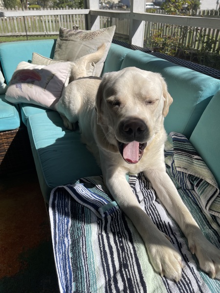 Entry image for Kapono. Clicking this image will show a larger photo