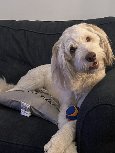 Entry image for Wyatt. Clicking this image will show a larger photo