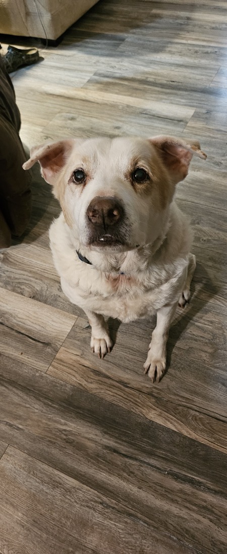 Entry image for Guiness. Clicking this image will show a larger photo