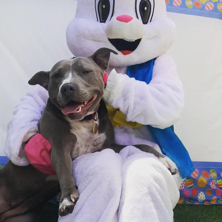 Entry image for Destiny. Clicking this image will show a larger photo