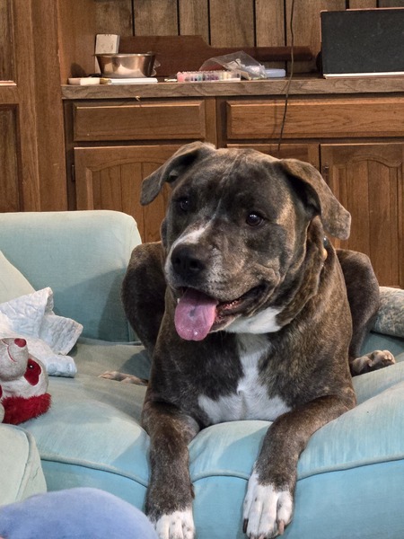 Entry image for Chauncey Conway . Clicking this image will show a larger photo