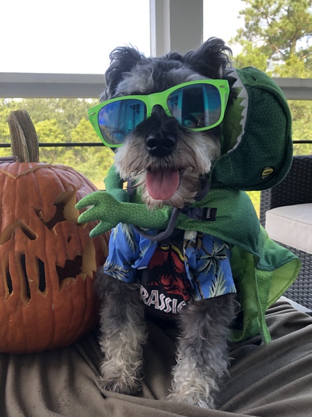 Entry image for Friday. Clicking this image will show a larger photo